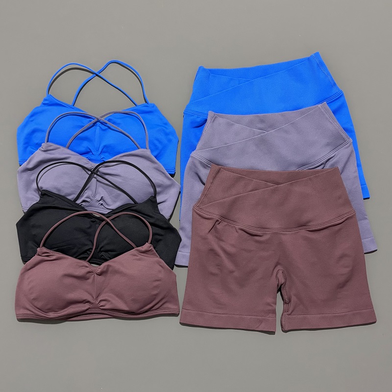 Conjunto de gimnasio de visión - Yoga Fitness Wear reseña y precio