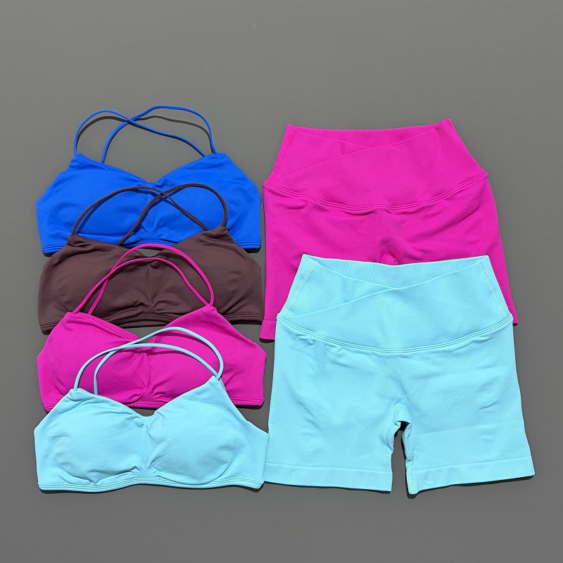 Conjunto de gimnasio de visión - Yoga Fitness Wear reseña y precio